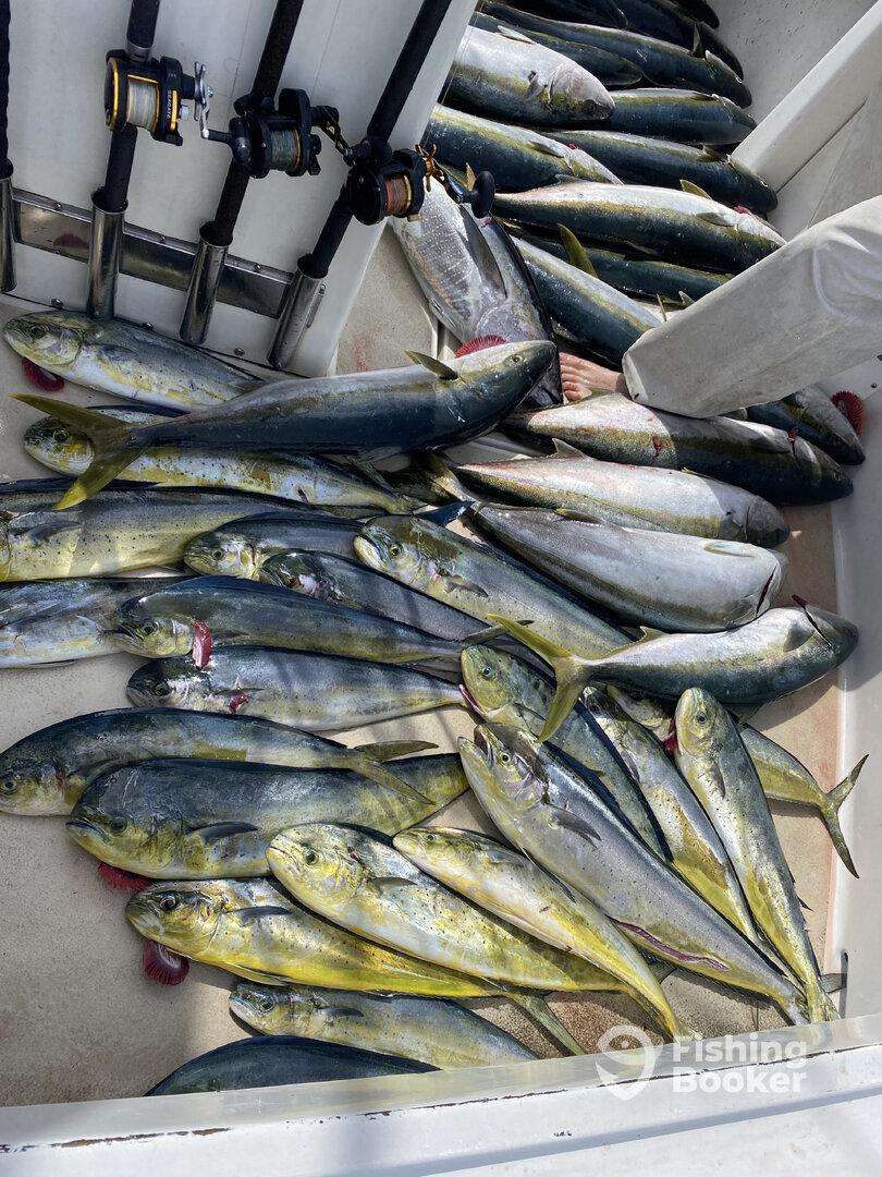 San Diego Report Photo 0