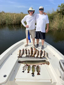 Venice Report Photo 1