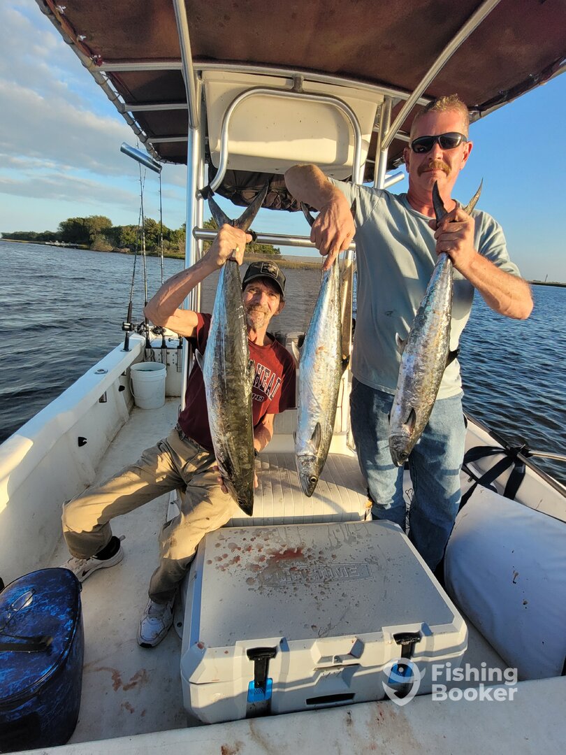 Oak Island Report Photo 0