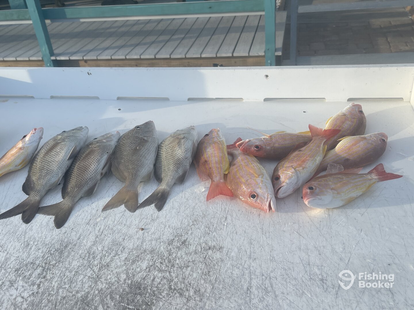 Fort Myers Beach Report Photo 0