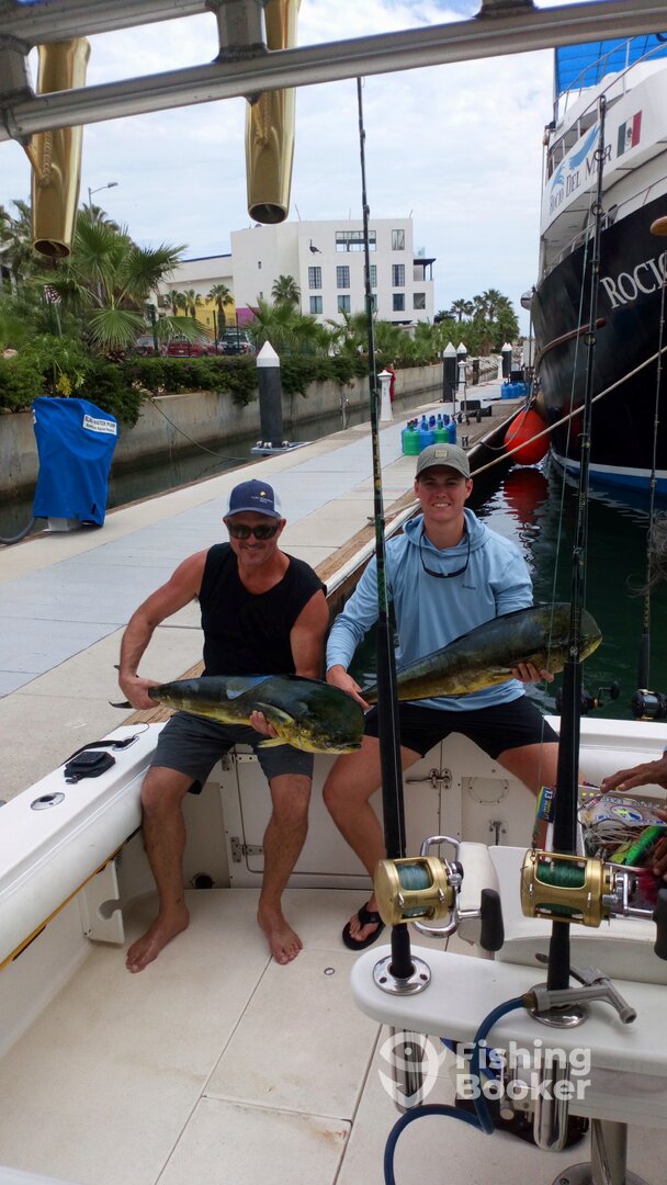 San Jose del Cabo Report Photo 0