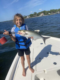 Destin Report Photo 1