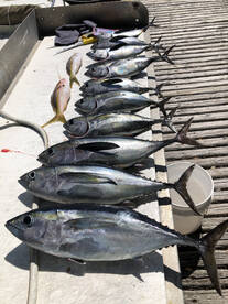 Fishing is great come have a trip of a l