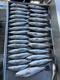 Fall bite is heating up