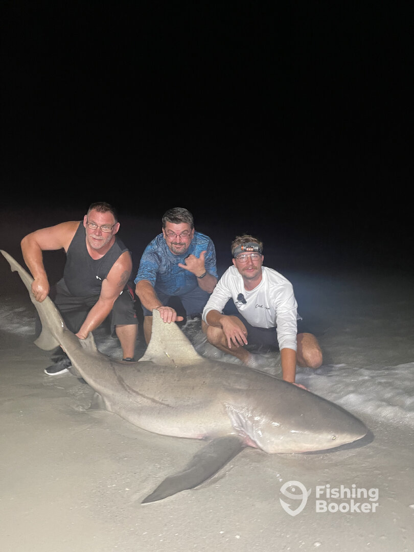 St. Pete Beach Report Photo 0