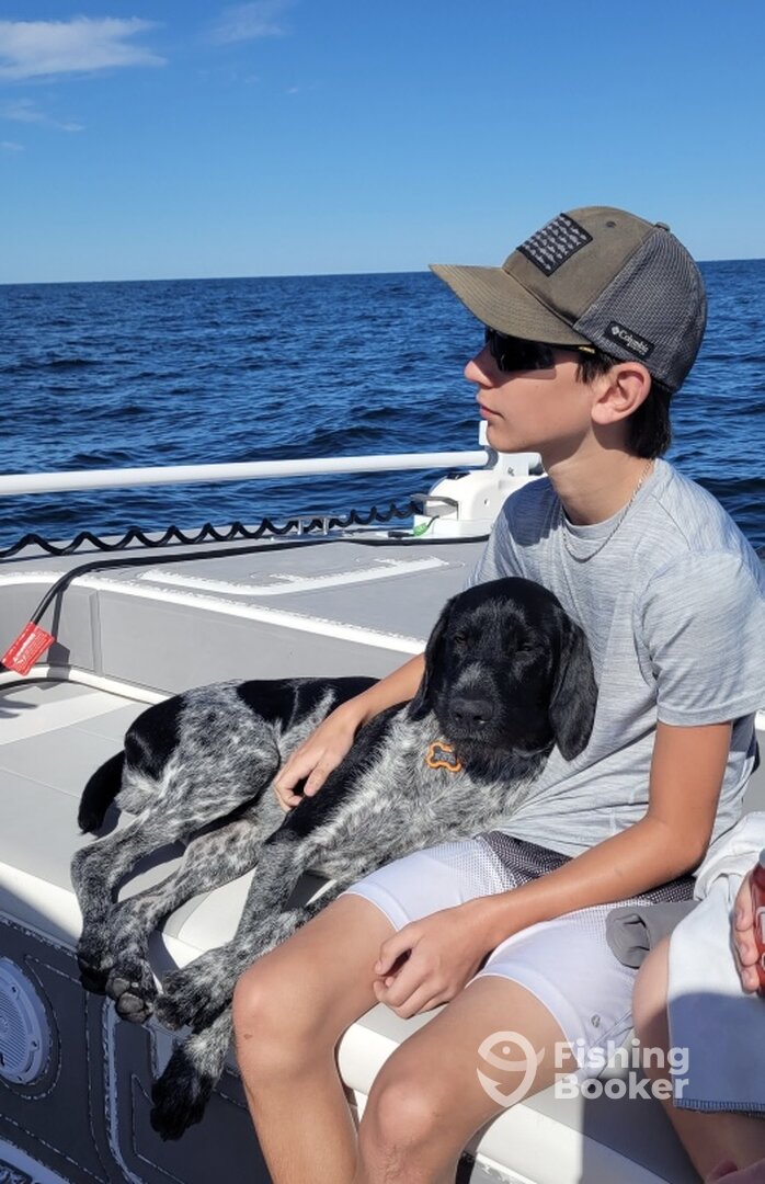 Shalimar Report Photo 0