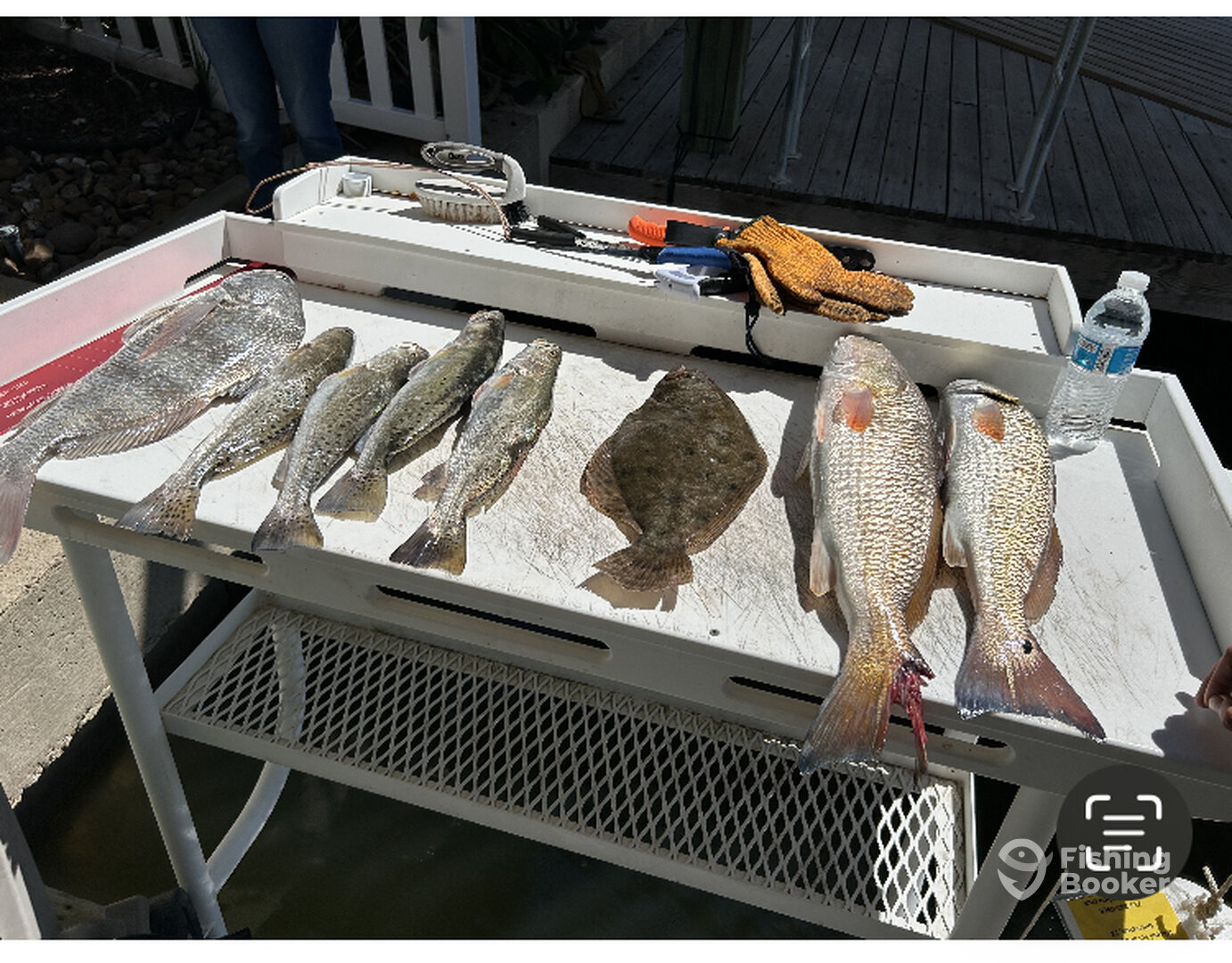 Galveston Report Photo 0