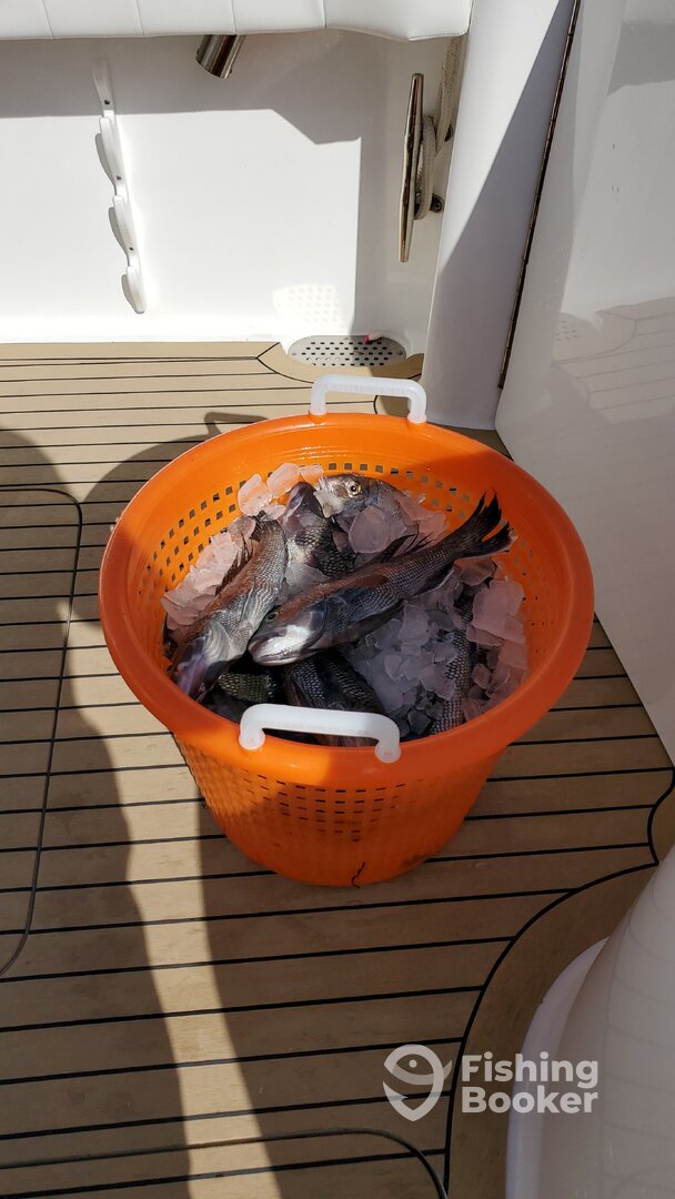 Point Pleasant Report Photo 0