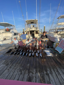 Carolina Beach Report Photo 2