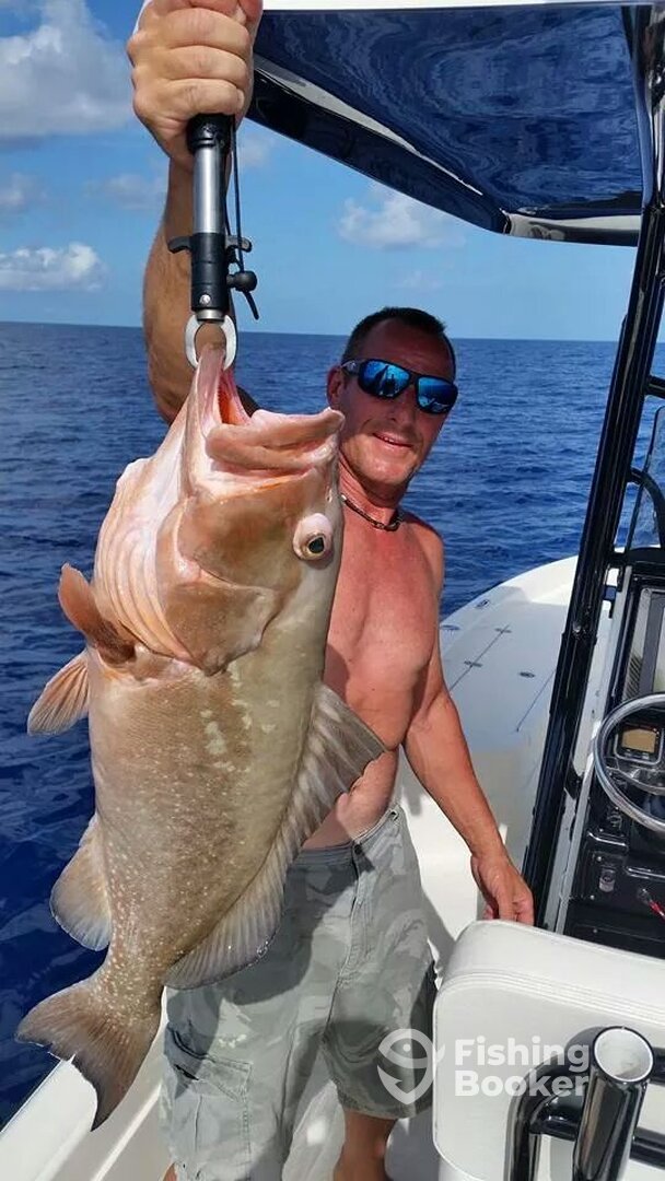 Treasure Island Report Photo 0