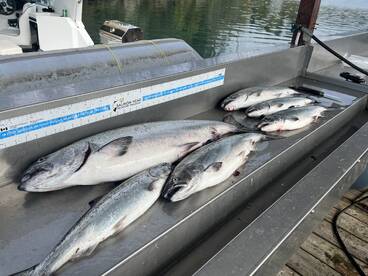 Fall Coho Salmon Fishing