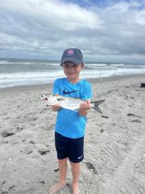 Cocoa Beach Report Photo 1