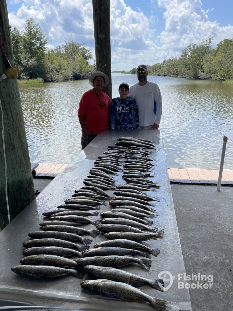 St. Bernard Report Photo 0