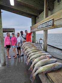 Aransas Pass Report Photo 2