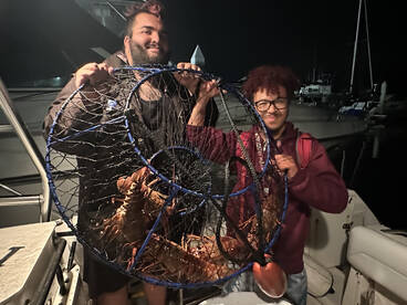 Lobster Fishing in Mission Bay