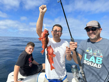 San Diego Report Photo 2