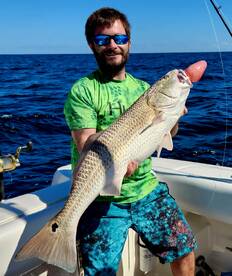 Virginia Beach Report Photo 2