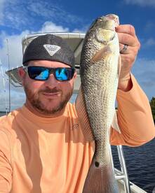 Palm Coast Report Photo 2