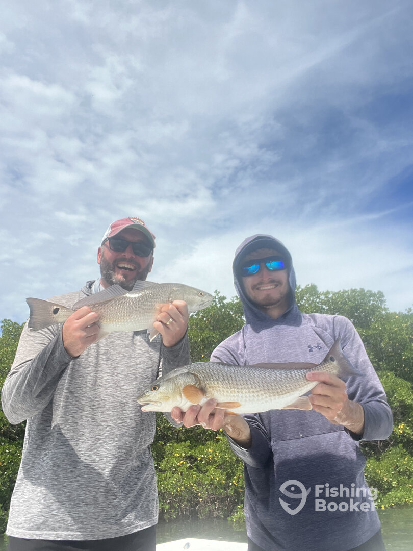 Belleair Bluffs Report Photo 0