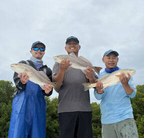 Belleair Bluffs Report Photo 2