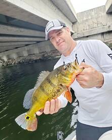 Delray Beach Report Photo 2