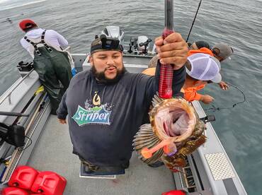 San Francisco Report Photo 2