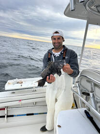 Stripers and sea bass 