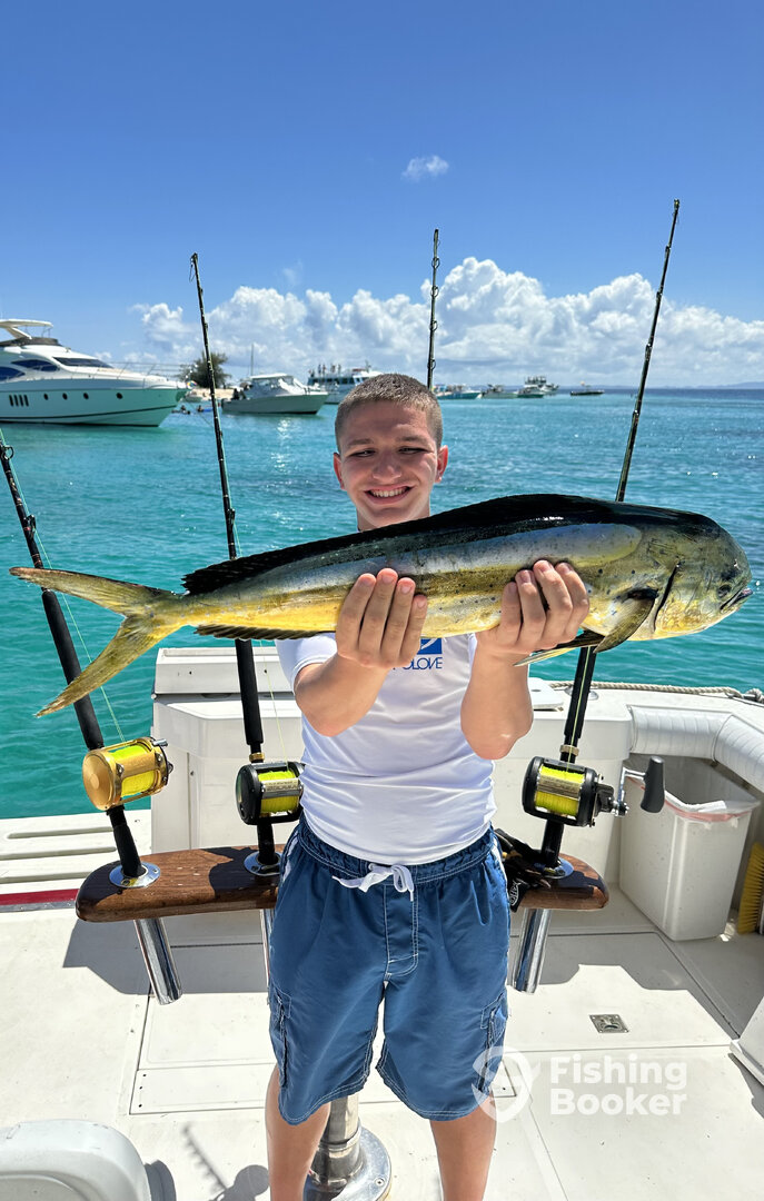 Fajardo Report Photo 0