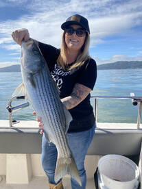 Berkeley Report Photo 1