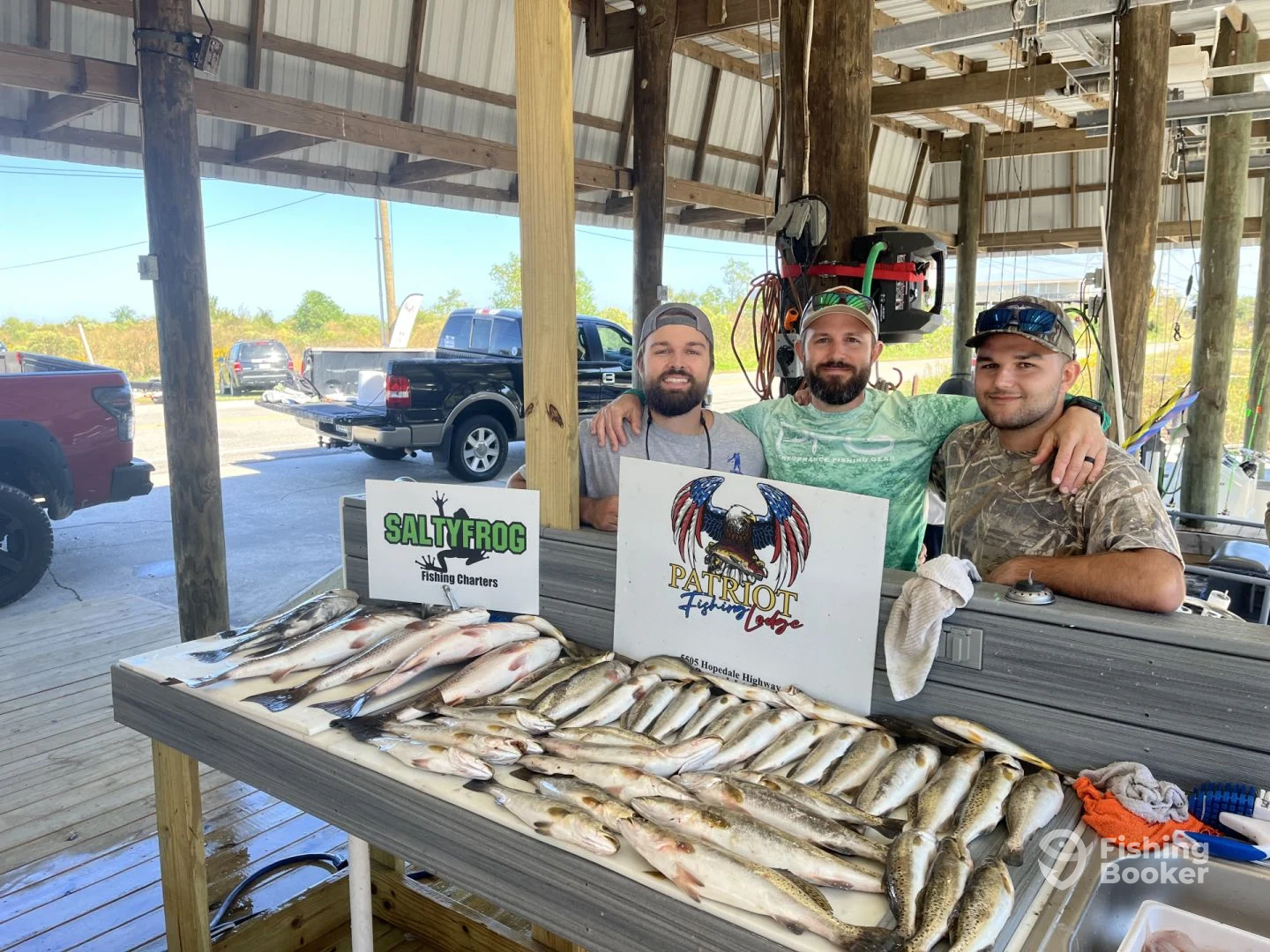 St. Bernard Report Photo 0