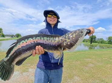 Bangkok Report Photo 1