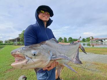 Bangkok Report Photo 2