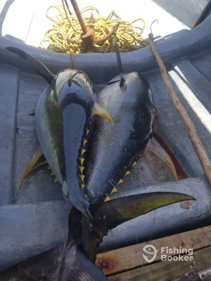 Kiwengwa Report Photo 0