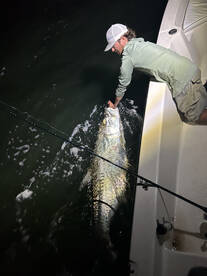 NIGHT TIME TARPON FISHING!!