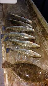 Newport Report Photo 2