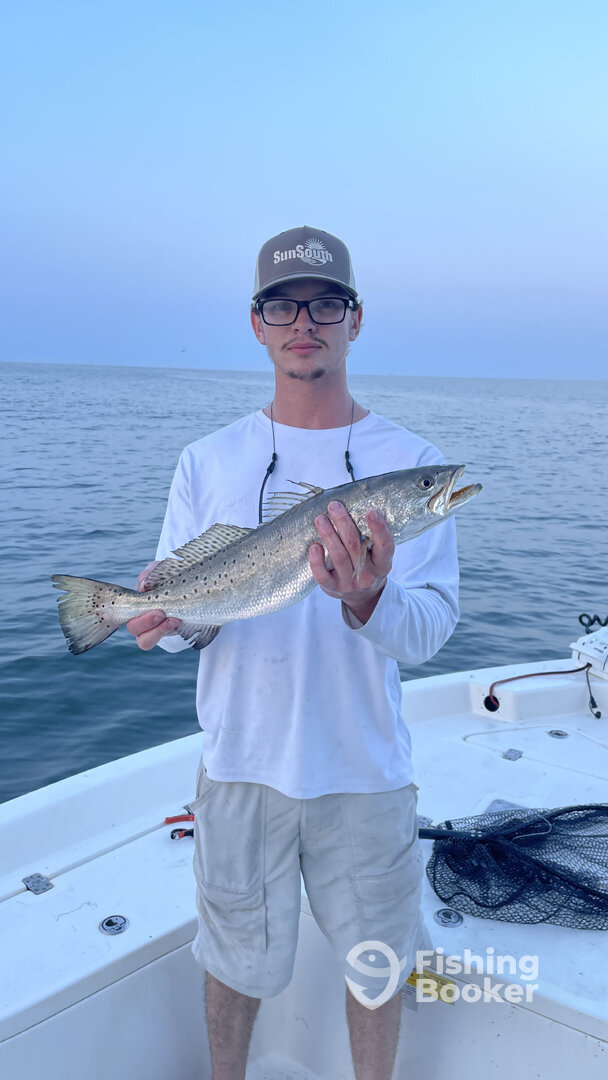 Fairhope Report Photo 0