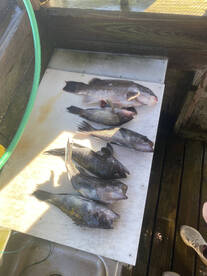 Atlantic City Report Photo 2