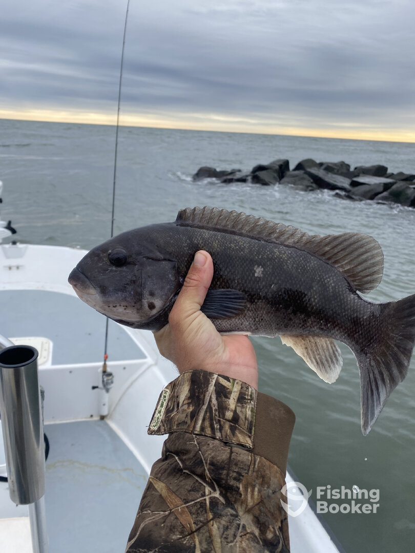 Atlantic City Report Photo 0