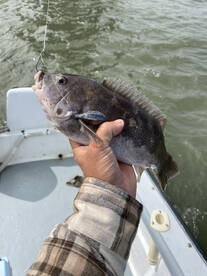 Atlantic City Report Photo 2