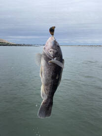 Atlantic City Report Photo 1