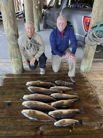 Venice Report Photo 2