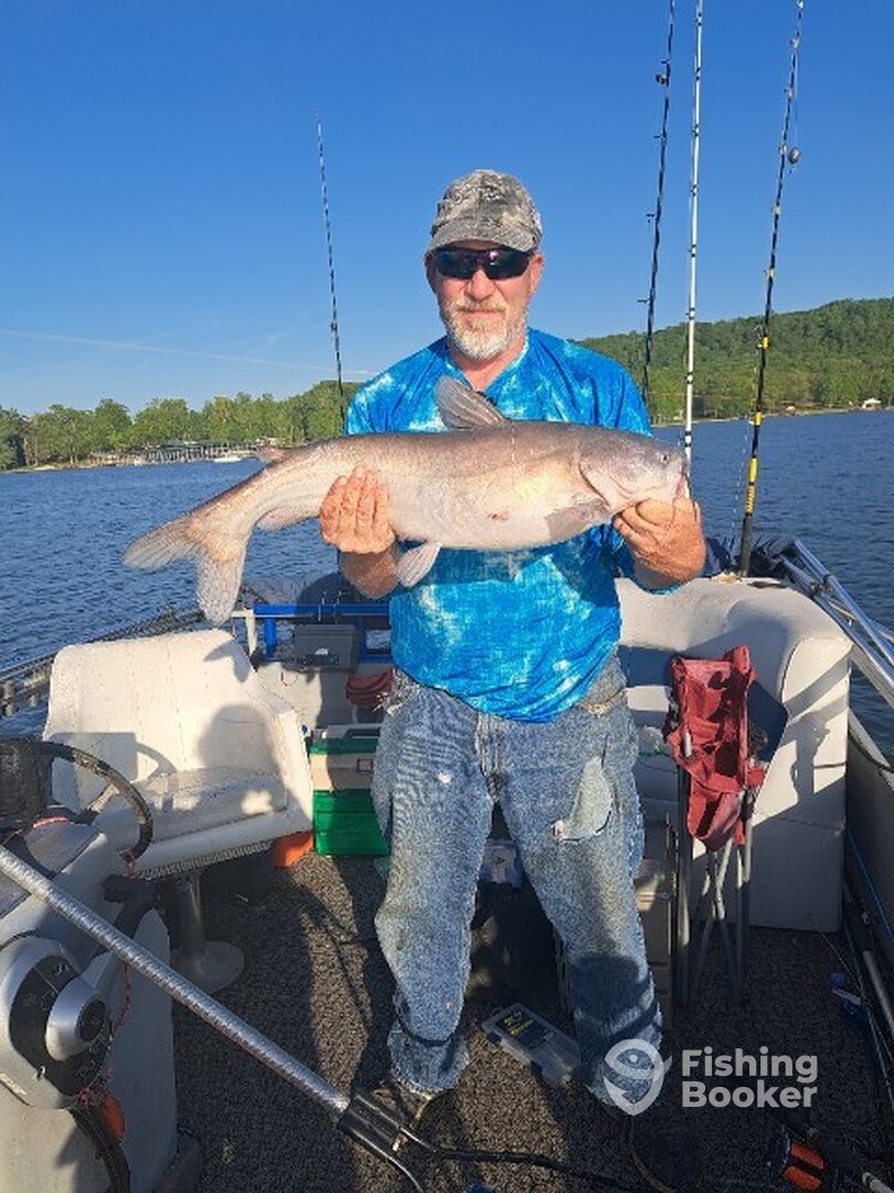 Kingston Report Photo 0