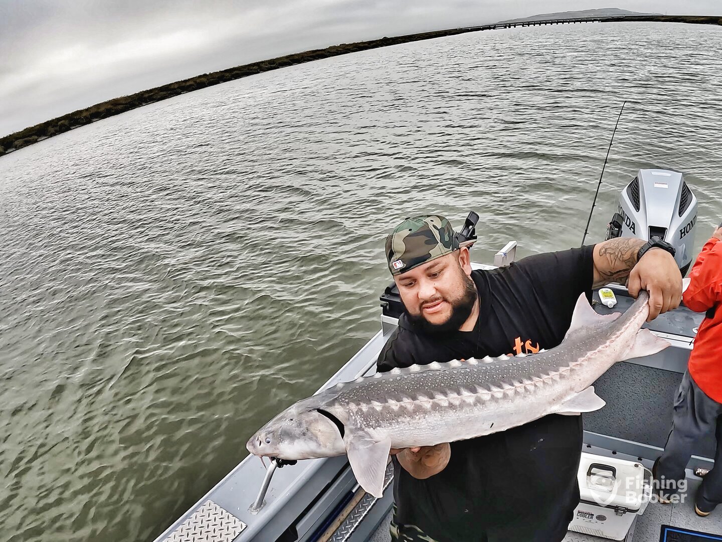 San Francisco Report Photo 0