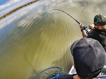 San Francisco Report Photo 2