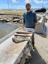 Galveston Report Photo 2