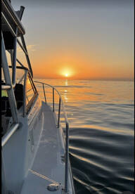 Hoop Netting Mission Bay