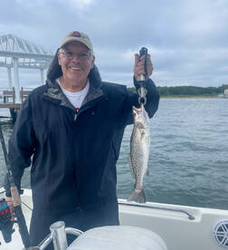 Speckled Trout, Sheepshead 