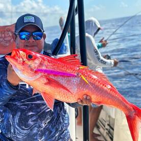 Queens, Bulls and Tunas!!!