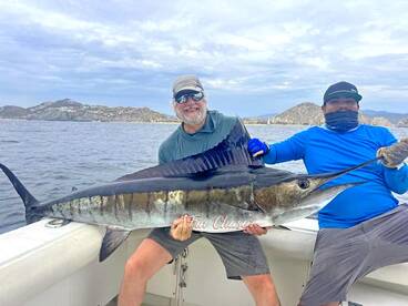 Marlin Majesty and Dorado Delight: A Day