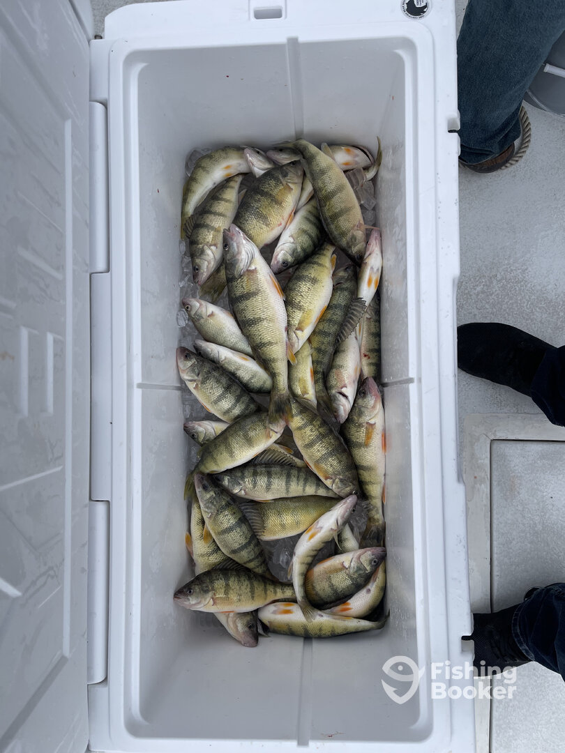 Oak Harbor Report Photo 0